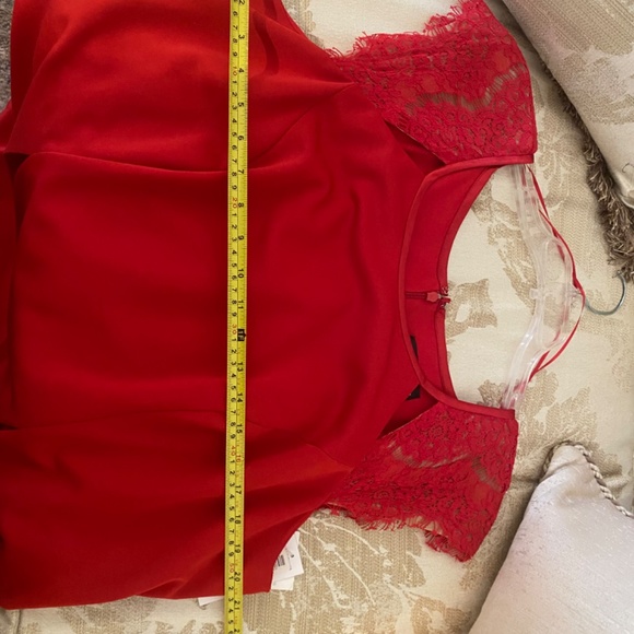 Alex evenings - Picture 7 of 15